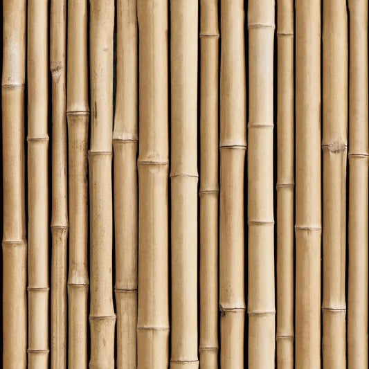 1" Thick Bamboo Poles 10 1/2' Ft pack of 25 peices