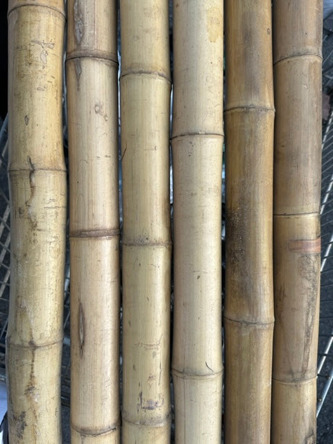 2"-3" Thick Bamboo Poles 10 1/2' ft