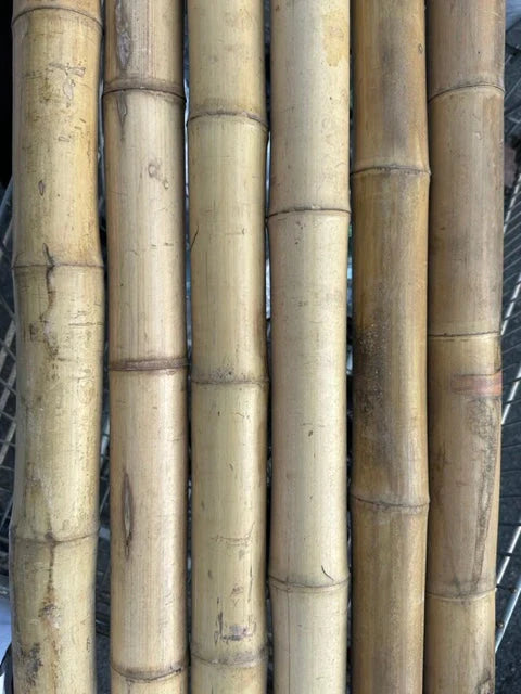 2"-3" Thick Bamboo Poles -  12 1/2'